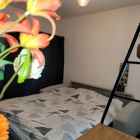 Apartment Cosy 21m2 Renove 75019 Paris