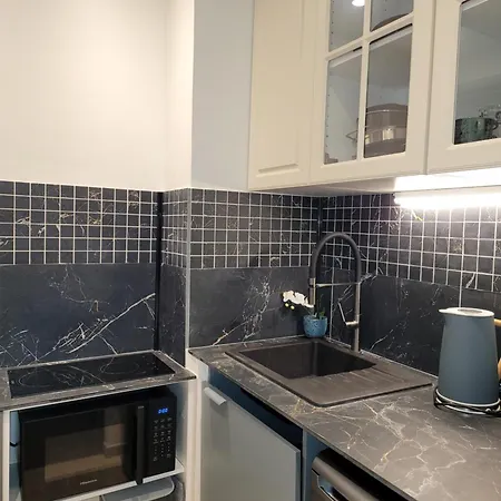 Cosy 21m2 Renove 75019 شقة