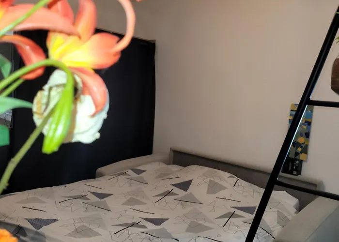 Διαμέρισμα Cosy 21m2 Renove 75019 Παρίσι