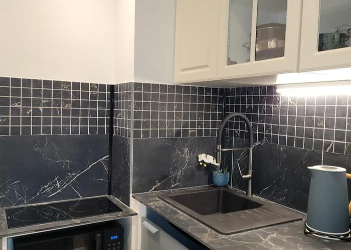 Cosy 21m2 Renove 75019 Διαμέρισμα